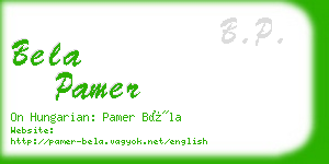 bela pamer business card